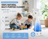 Clearance: Disinfectant Mist Spray – Antibacterial Surface Cleaner
